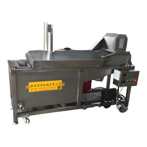 Continuous Frying Machine